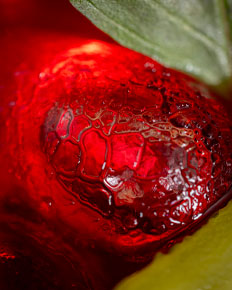 Fruit et glace, macro — photographie réalisée par PHOTOPRODSTUDIO à Castres