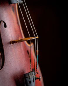 Violoncelle, détail du chevalet — photographie réalisée par PHOTOPRODSTUDIO à Castres